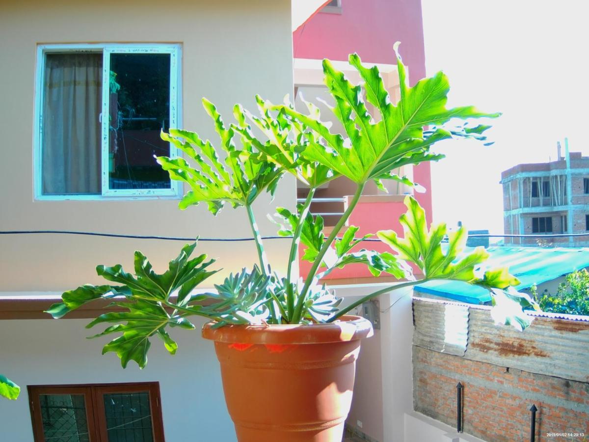 Everest Home Stay Apartment Lalitpur Екстер'єр фото